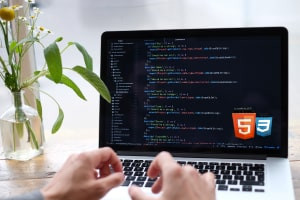 HTML5 e CSS3 Fundamentals