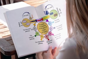 Introduction to Metabolic Engineering