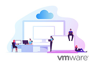 VMware vSphere 4.1: Configuración y protección de máquinas virtuales