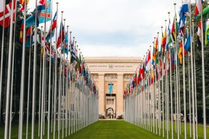 7 Must-Know Tips for E-International Relations