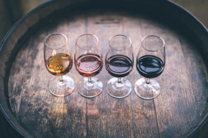An Introductory Course on Wines