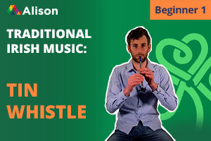 Whistle Tradicional Irish Tin | Beginner 1