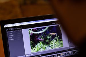 Introduzione alle Impostazioni di base e Funzioni in Adobe Lightroom