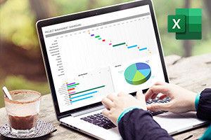 Fondations de Microsoft Excel Dashboards, Data Analysis and Visualization