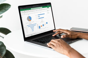 Capire le Essenze di Excel Data Visualization