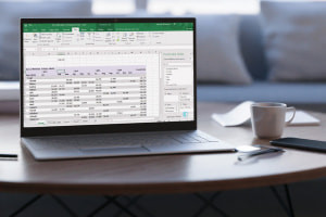 Padroneggiare l'analisi dei dati utilizzando Microsoft Excel: Formulas e Pivot Tavole