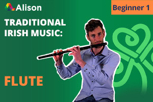 Flauta tradicional irlandesa | principiante 1