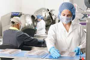 Food Safety: Good Manufacturing Practices (GMP) in the Food Industry