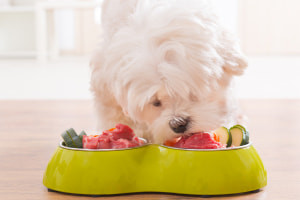 How to Feed Your Dog a Raw Diet Using BARF or RMB Methods