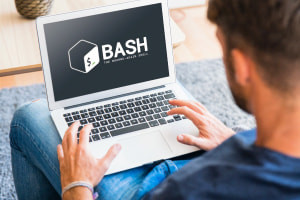 Understanding Bash Scripting & Commands