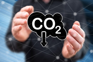 Introduzione alle Misure di riduzione del carbonio e Becoming Green
