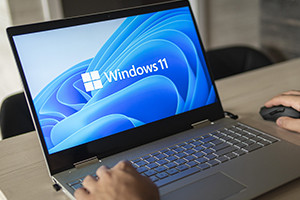 Diploma in Microsoft Windows 11 Operating System