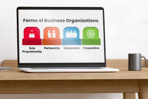 Formas de Organizações de Negócios