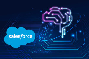 Salesforce Developer: Introduction to Artificial Intelligence