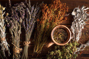 Basics of Herbalism