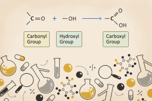 Chimie intermédiaire: Acides carboxyliques et composés de carbonyles