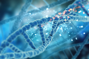 Introdução ao DNA e Genealogia