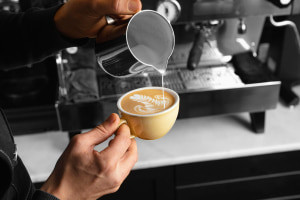 Profesional Barista-Presentación de café y habilidades de servicio