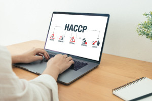 Pontos De Controle Crítico De Análise De Riscos (HACCP)