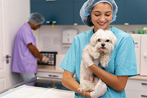 Veterinary Assistant Diploma