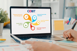 COBIT Framework - Foundations of IT Governance
