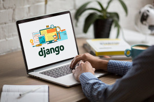 Django Fondamentaux-La voie rapide