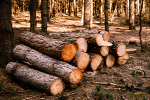 Logging Techniques and Practices