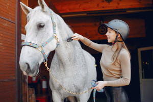 Horse Care e Gestione Stabile