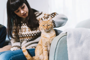 Understanding Feline Behaviour and Psychology