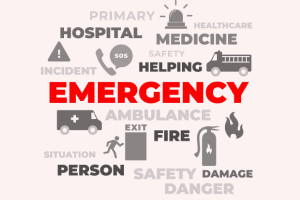 Introduction to Emergency Crisis Management
