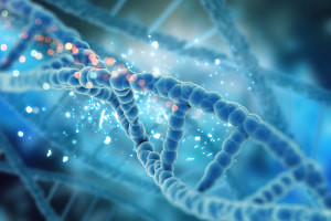 Fundamentos de la genética molecular