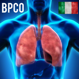 Chronic Obstructive Pulmonary Disease Awareness Course 