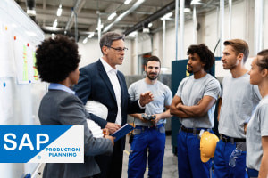 The Fundamentals of SAP Production Planning (PP)