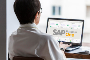 SAP Business One-Conceitos Fundamentais para Implementação