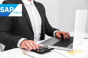 SAP FICO-Contabilidade Financeira & Custo Controle