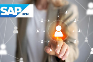 Elementos esenciales de SAP HCM (Human Capital Management)