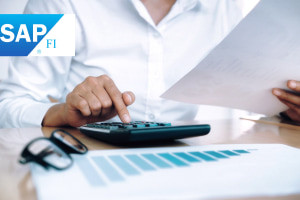 SAP Financial Accounting (FI)-Conceitos Essenciais