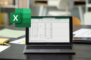 Microsoft Excel 365: From Beginner to Pro