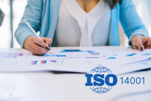 ISO 14001 Estrategias y prácticas de auditoría interna
