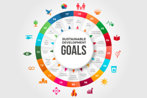 UN Sustainable Development Goals Explained