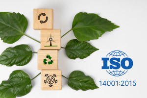 ISO 14001 : 2015 - The Complete Environmental Management Systems EMS