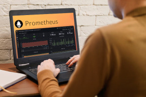 Fundamentals of Prometheus Software - Performance Monitoring for IT Systems