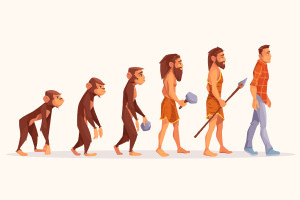 Biological and Evolutionary Anthropology