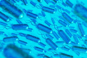 Legionella Awareness