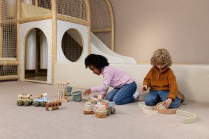 Principles and Concepts of Montessori Education
