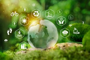 Conscious Consumption and Sustainability Masterclass