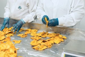 HACCP Food Safety Systems in Processing