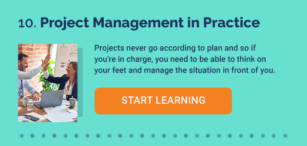 10. Project Management in Practice