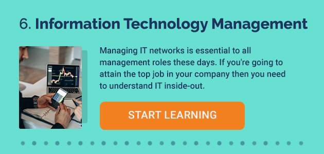 6. Information Technology Management