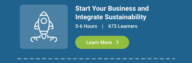 Start Your Business NOW— and Integrate Sustainability